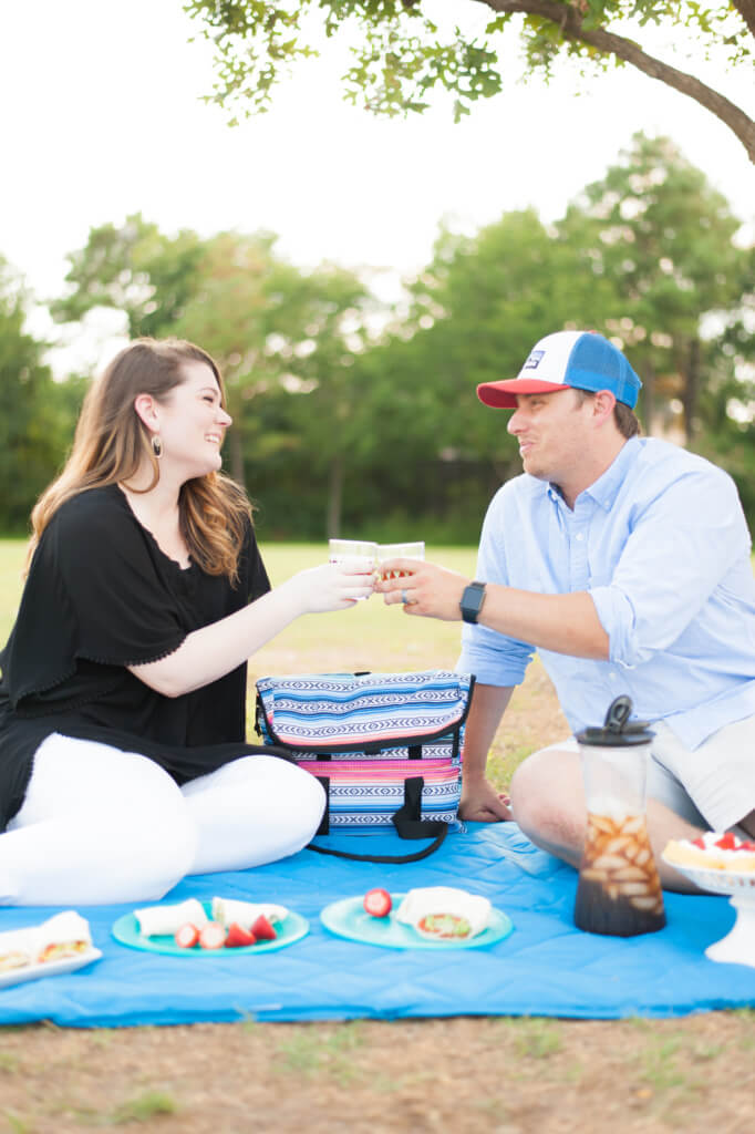 summer picnic with packet cooler bag